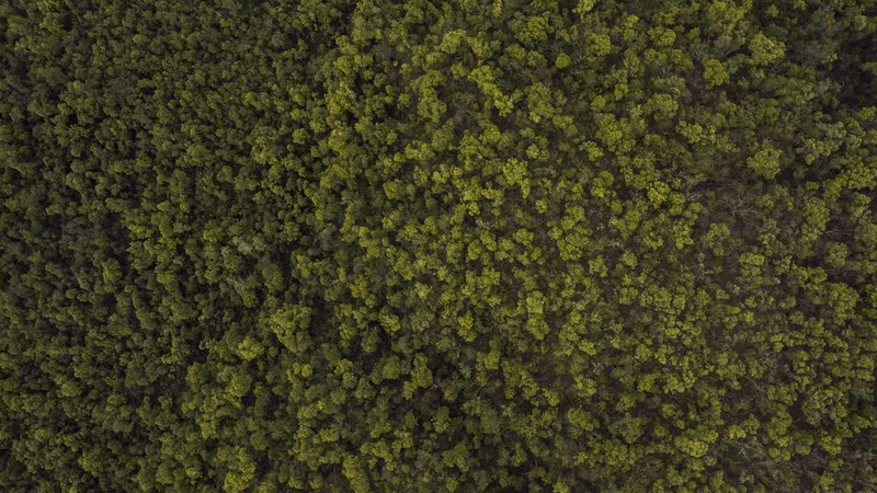 Doctor - professional stock photography