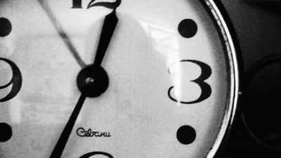 Fruits - professional stock photography