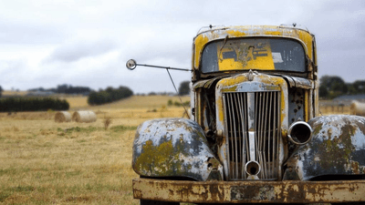 Fruits - professional stock photography