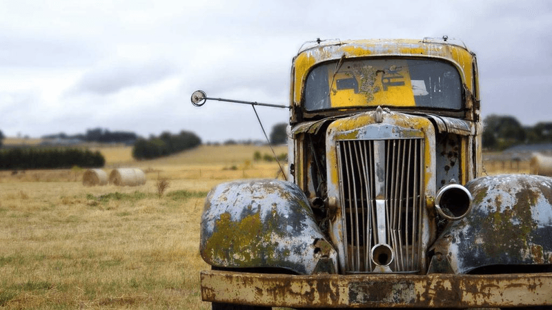 Fruits - professional stock photography