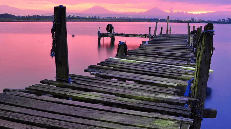 Gym - professional stock photography