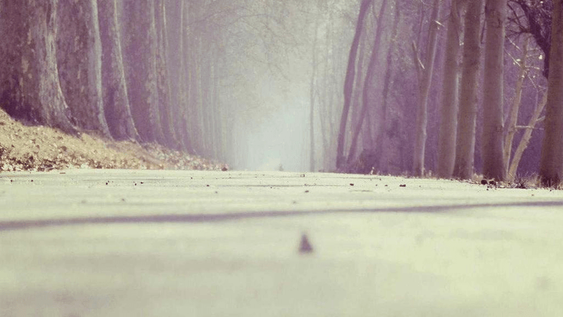 Running - professional stock photography