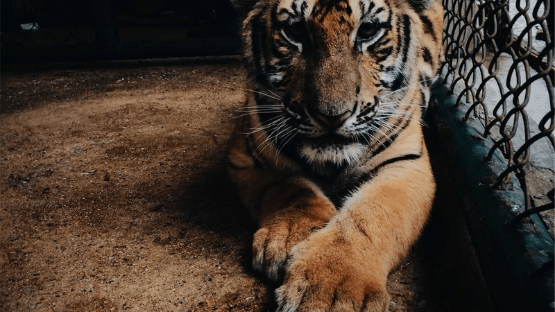 Running - professional stock photography