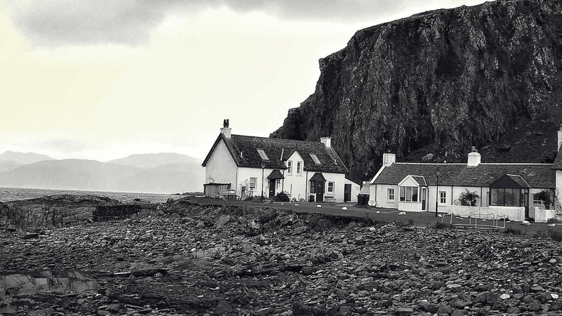 Salad - professional stock photography