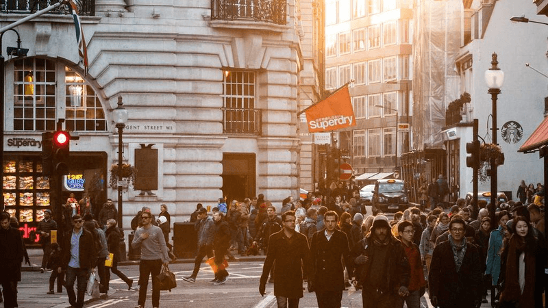 Salad - professional stock photography