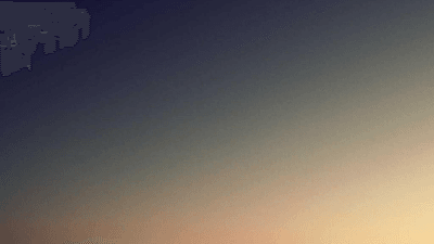 Salad - professional stock photography