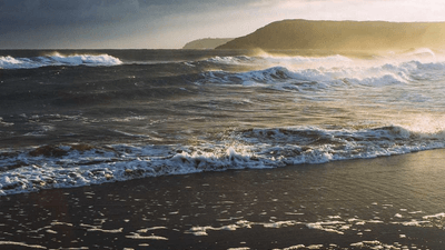 Salad - professional stock photography