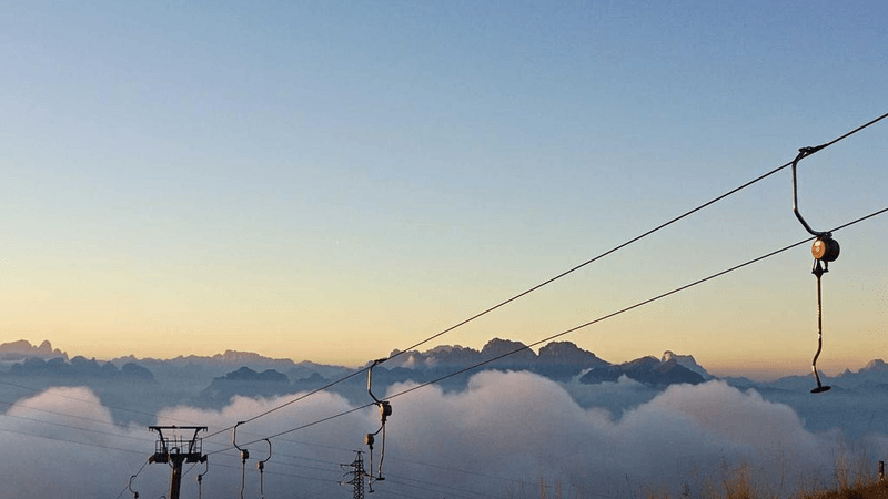 Salad - professional stock photography