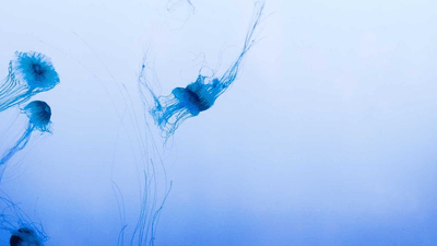 Sleep - professional stock photography