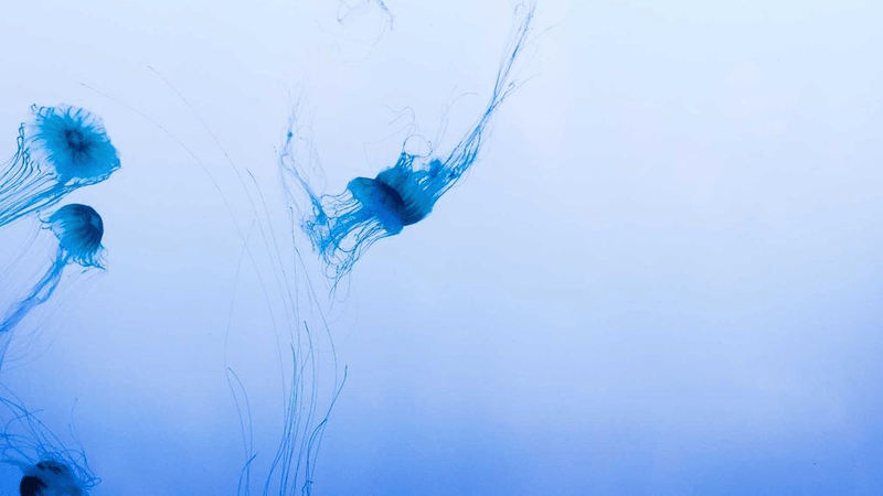 Sleep - professional stock photography