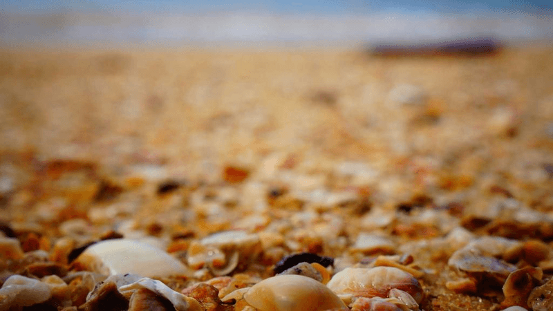 Smoothie - professional stock photography