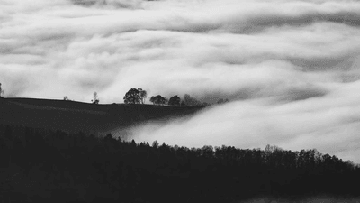 Stretching - professional stock photography