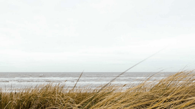 Therapy - professional stock photography