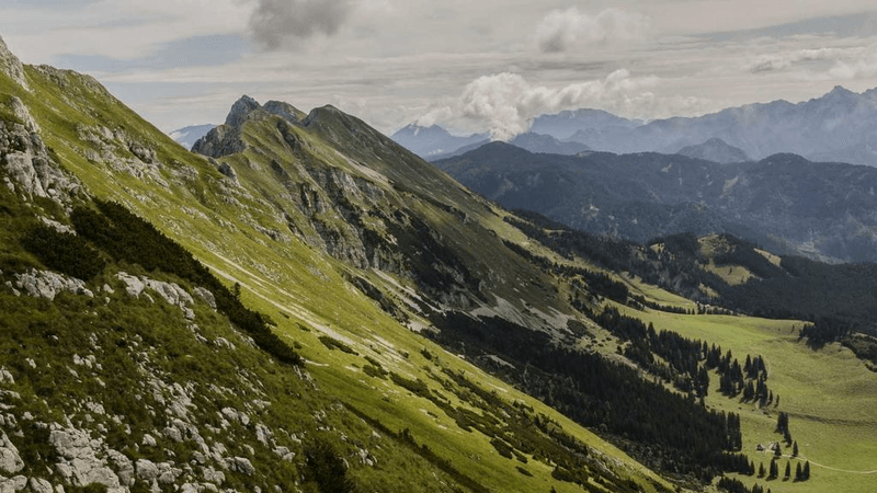 Therapy - professional stock photography