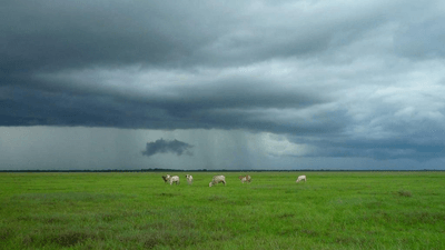 Wellness - professional stock photography