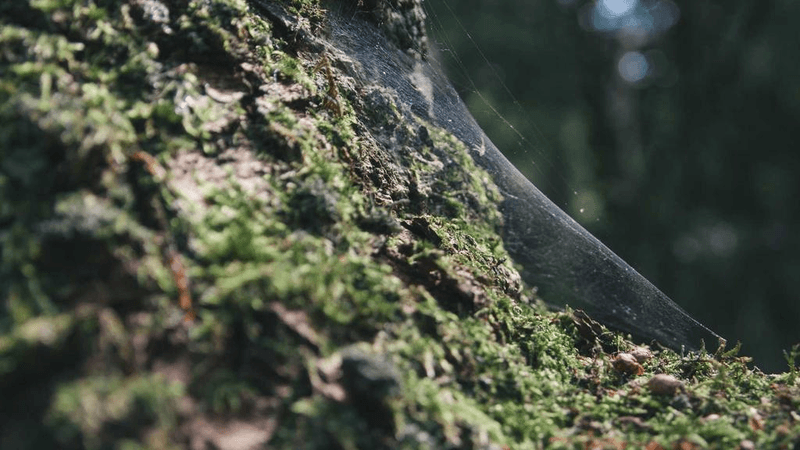 Wellness - professional stock photography