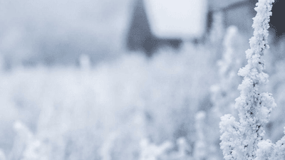 Wellness - professional stock photography